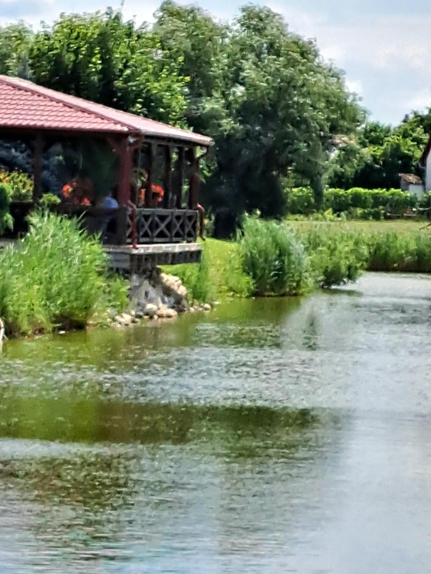 Grapeline Guesthouse Chotin Zewnętrze zdjęcie